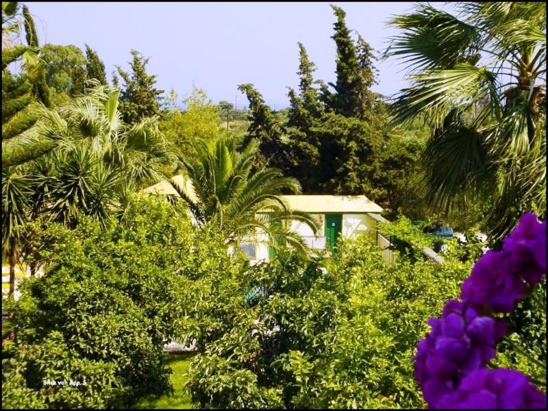 Lemon Garden Hotell Vasilikí Eksteriør bilde
